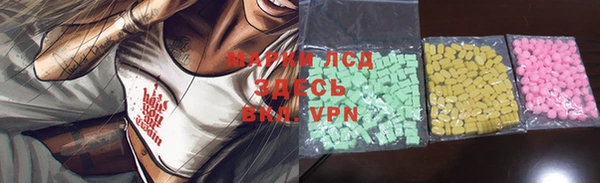 хмурый Арсеньев