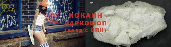гашик Аркадак