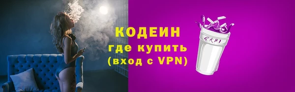 хмурый Арсеньев