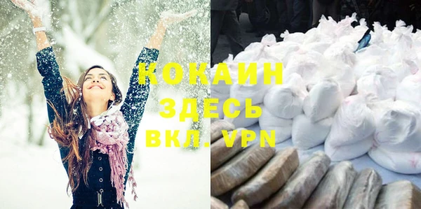 гашик Аркадак