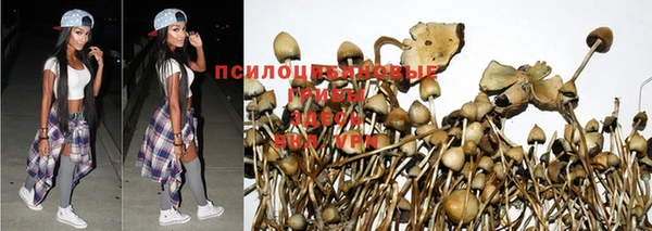 дживик Мегион