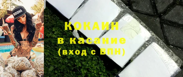 хмурый Арсеньев