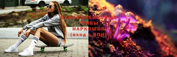 PSILOCYBIN Алексин