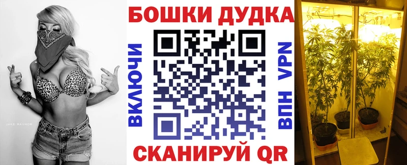 Бошки Шишки марихуана  Ахтубинск 